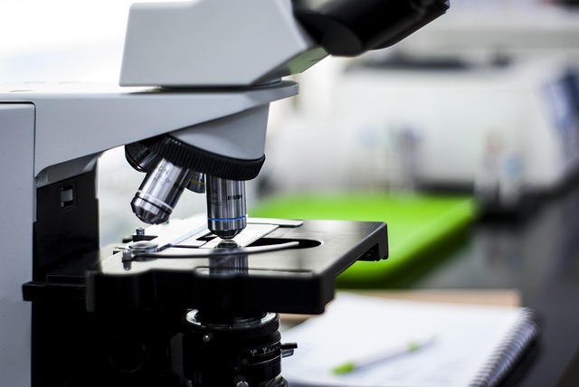 營(yíng)業(yè)執(zhí)照